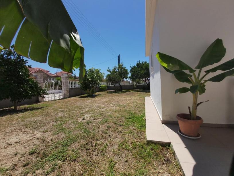 Konstantinos Apartments Αμμουδιά Εξωτερικό φωτογραφία