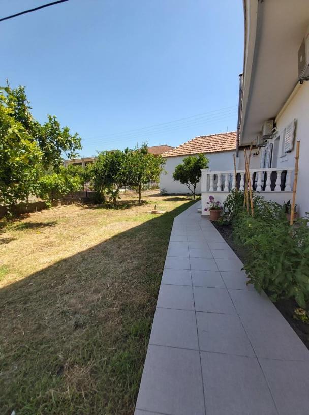 Konstantinos Apartments Αμμουδιά Εξωτερικό φωτογραφία